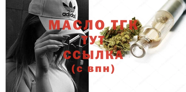 таблы Гусев