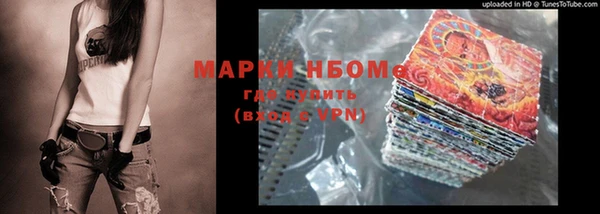 хмурый Мегион