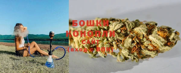 молекула духа Навашино